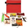 Mini Emergency Kit