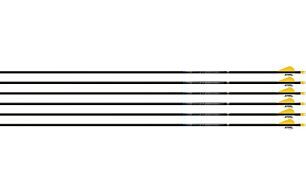 EASTON ARROW SONIC 6.0 500