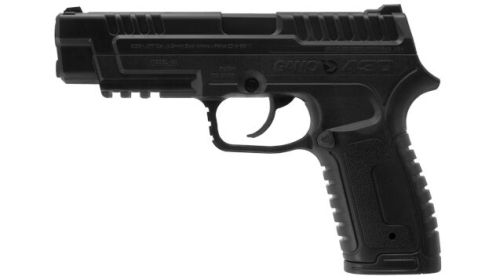 GAMO P-430 CO2 DUAL-AMMO AIR