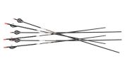EASTON ARROW FMJ 5MM 400