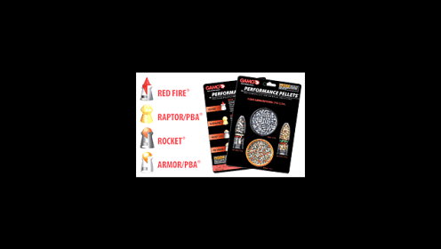 GAMO COMBO PERFORMANCE 22 CAL