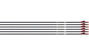EASTON ARROW 5MM FMJ 300 W/ HO