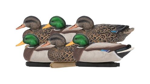 ZINK FLOATER DECOYS MALLARD