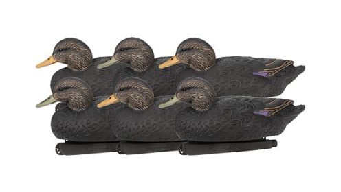 ZINK FLOATER DECOYS BLACK DUCK