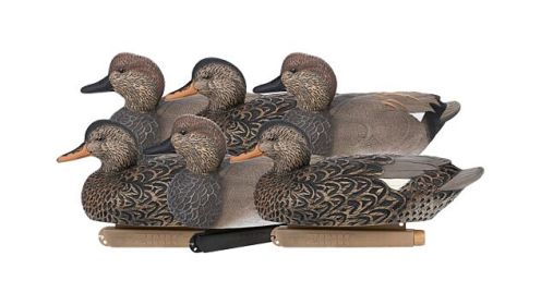 ZINK FLOATER DECOYS GADWALL