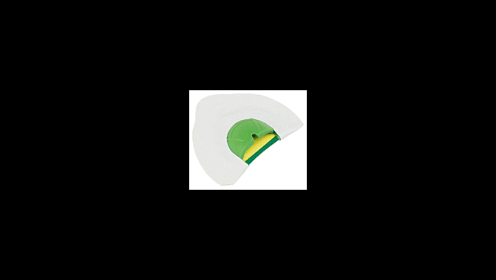 PRIMOS TURKEY CALL DIAPHRAGM (Option: SONIC DOME DOUBLE)